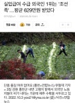 실업급여 수급 1위는 외국인 조선족 - 뽐뿌:자유게시판 실업급여 수급 1위는 외국인 조선족