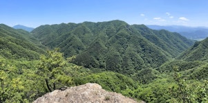 2023. 6. 3 (토) 지장산 다녀왔습니다. - 뽐뿌:등산포럼 2023. 6. 3 (토) 지장산 다녀왔습니다.