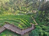 함라산 둘레길 트래킹 왔네요 - 뽐뿌:자유갤러리 함라산 둘레길 트래킹 왔네요