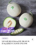 [위메프]나주농협 정품 세지메론 5kg 3수 (28,900/무료) - 뽐뿌:뽐뿌게시판 [위메프]나주농협 정품 세지메론 5kg 3수 (28,900/무료)
