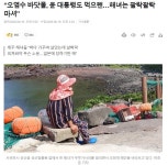 영국가디언이 조명한 한국해녀 - 뽐뿌:자유게시판 영국가디언이 조명한 한국해녀