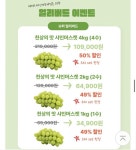 오늘 마감이래요 샤인머스켓 공구 2만원대 - 뽐뿌:쇼핑포럼 오늘 마감이래요 샤인머스켓 공구 2만원대
