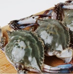 [위메프] 23년 서천 햇 숫꽃게 2kg 6-10미 외 암꽃게 (19,700원... [위메프] 23년 서천 햇 숫꽃게 2kg 6-10미 외 암꽃게 (19,700원~/무료)