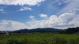 시골 풍경 - 뽐뿌:자유갤러리 시골 풍경