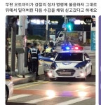 딸배헌터 후 달라진 대전 - 뽐뿌:자동차포럼 딸배헌터 후 달라진 대전