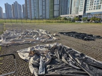 구룡자동차야영장 후기76번째 캠핑(Feat. 캠프타운 보르도) - 뽐뿌:캠핑포럼 2023.10.01.~03. 구룡자동차야영장 후기76번째 캠핑(Feat.... 