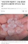40년만에 우박 처음봤다는 충청권 .jpg - 뽐뿌:자유게시판 40년만에 우박 처음봤다는 충청권 .jpg
