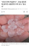 40년만에 우박 처음봤다는 충청권 .jpg - 뽐뿌:자유게시판 40년만에 우박 처음봤다는 충청권 .jpg