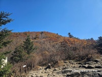 지리산 단풍산행 뱀사골-피아골 왕복으로 다녔왔습니다. - 뽐뿌:등산포럼 지리산 단풍산행 뱀사골-피아골 왕복으로 다녔왔습니다.