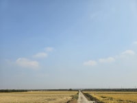 논에서 일하는 중이에요 - 뽐뿌:자유게시판 논에서 일하는 중이에요