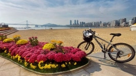 자전거로 동네 한바퀴했습니다 - 뽐뿌:자유게시판 자전거로 동네 한바퀴했습니다