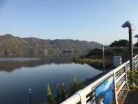 역시 사람은 자연에서 살아야돼~ - 뽐뿌:자유게시판 역시 사람은 자연에서 살아야돼~