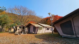 경기도청소년수련원 광주 캠핑장 - 뽐뿌:캠핑포럼 경기도청소년수련원 광주 캠핑장