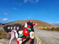 오늘 제주 새별오름입니다 - 뽐뿌:자유게시판 오늘 제주 새별오름입니다