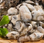 [위메프] 23년 햇 통영 생굴 1kg (14,870원/무료) - 뽐뿌:뽐뿌게시판 [위메프] 23년 햇 통영 생굴 1kg (14,870원/무료)