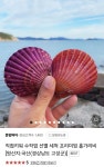 [네이버] 당일수확 세척 홍가리비 3kg (15,500원/4,000원) - 뽐뿌:뽐뿌게시판 [네이버] 당일수확 세척 홍가리비 3kg (15,500원/4,000원)