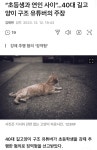 . - 뽐뿌:자유게시판 .