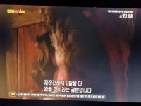 지금 오씨엔 무비스에서 쇼생크 탈출 시작합니다 - 뽐뿌:자유게시판 지금 오씨엔 무비스에서 쇼생크 탈출 시작합니다