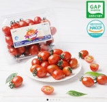 [끌올][위메프] 스테비아 방울토마토 2kg (12,020원/무료) - 뽐뿌:뽐뿌게시판  [끌올][위메프] 스테비아 방울토마토 2kg (12,020원/무료)