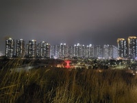 운동겸 산책중 동네뷰 - 뽐뿌:자유게시판 운동겸 산책중 동네뷰