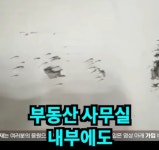 테러범의 특훈 흔적.jpg - 뽐뿌:자유게시판 테러범의 특훈 흔적.jpg