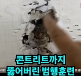 테러범의 특훈 흔적.jpg - 뽐뿌:자유게시판 테러범의 특훈 흔적.jpg