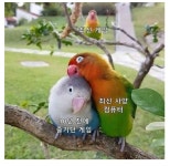 최신PC를 맞췄을때의 나 - 뽐뿌:게임포럼 최신PC를 맞췄을때의 나