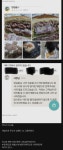햄버거 개밥으로 준 리뷰.jpg - 뽐뿌:자유게시판  햄버거 개밥으로 준 리뷰.jpg