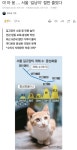 서울시, 산수는 할 줄 아나요? - 뽐뿌:자유게시판 서울시, 산수는 할 줄 아나요?