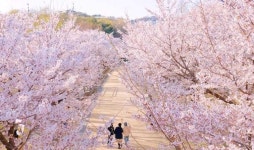 꽃이 - 뽐뿌:자유갤러리 꽃이