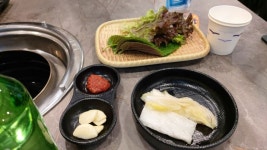 닭꿉꼬 - 뽐뿌:자유갤러리 닭꿉꼬
