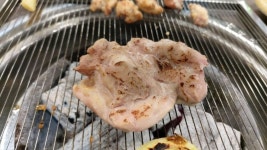 닭꿉꼬 - 뽐뿌:자유갤러리 닭꿉꼬