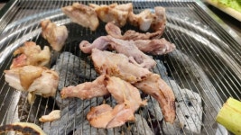 닭꿉꼬 - 뽐뿌:자유갤러리 닭꿉꼬