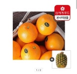 [옥션] 신세계푸드 고당도 오렌지 블랙라벨 특대과 10개 3kg + 파인애플 1kg (16,720원/무료) - 뽐뿌:뽐뿌게시판 [옥션] 신세계푸드 고당도... 