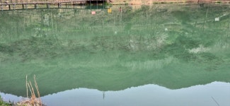 물반고기반 - 뽐뿌:자유게시판 물반고기반