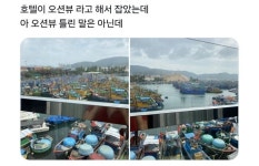 오션뷰 호텔을 예약했는데 - 뽐뿌:유머/감동 오션뷰 호텔을 예약했는데