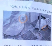 경기도 안양시 삼성천 오리 가족 돌팔매질 당함 - 뽐뿌:자유게시판 경기도 안양시 삼성천 오리 가족 돌팔매질 당함