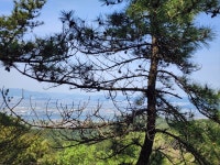 신라대-백양산-구포도서관 코스 휴일 등산 - 뽐뿌:자유게시판 신라대-백양산-구포도서관 코스 휴일 등산