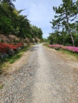 신라대-백양산-구포도서관 코스 휴일 등산 - 뽐뿌:자유게시판 신라대-백양산-구포도서관 코스 휴일 등산