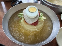 밀면 - 뽐뿌:자유갤러리 밀면