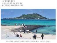 ppompungi - 뽐뿌:자유게시판 ppompungi