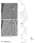창녕군 백성들이 360여년을 섬긴 발자국 정체.jpg - 뽐뿌:자유게시판 창녕군 백성들이 360여년을 섬긴 발자국 정체.jpg
