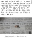 대통령 사진 잘려 유감 용산에서 걸려온 전화 [금주의 B컷] - 뽐뿌:자유게시판 대통령 사진 잘려 유감 용산에서 걸려온 전화 [금주의 B컷]
