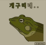#개구리네 - 뽐뿌:짤방갤러리 #개구리네