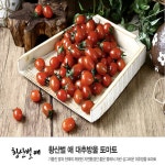 [우체국쇼핑] 황산벌애 대추방울토마토 2kg (로열과 1~3번과) 10900원... 뽐뿌:뽐뿌게시판 [우체국쇼핑] 황산벌애 대추방울토마토 2kg... 