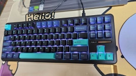 독거미 키보드 사봤는데 명성대로 가성비 압살이긴 하네요..ㄷ - 뽐뿌:PC/인터넷 독거미 키보드 사봤는데 명성대로 가성비 압살이긴 하네요..ㄷ