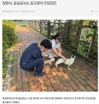 길고양이도 건강검진 시켜주는 창원시.jpg - 뽐뿌:자유게시판 길고양이도 건강검진 시켜주는 창원시.jpg