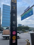 성남 성지 약국 방문 - 뽐뿌:영양제포럼  성남 성지 약국 방문