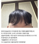 7월 헤어갤러리 최다 추천글 - 뽐뿌:유머/감동 7월 헤어갤러리 최다 추천글