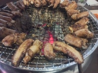 산꼼장어 - 뽐뿌:자유갤러리 산꼼장어